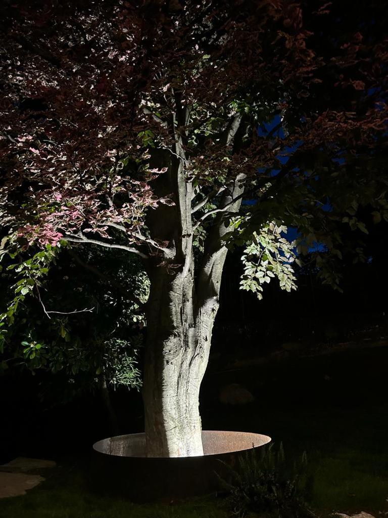 Вилла I Faggi Rossi - Red Beech Trees Комо Экстерьер фото